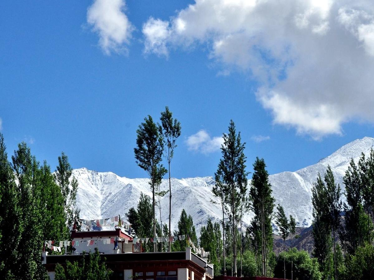 Hotel Kidar à Leh Extérieur photo